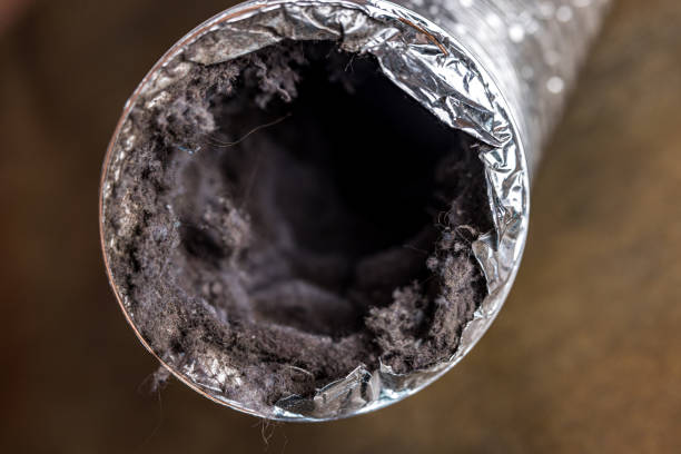 Best Air Duct Cleaning Near Me  in Centerville, MN