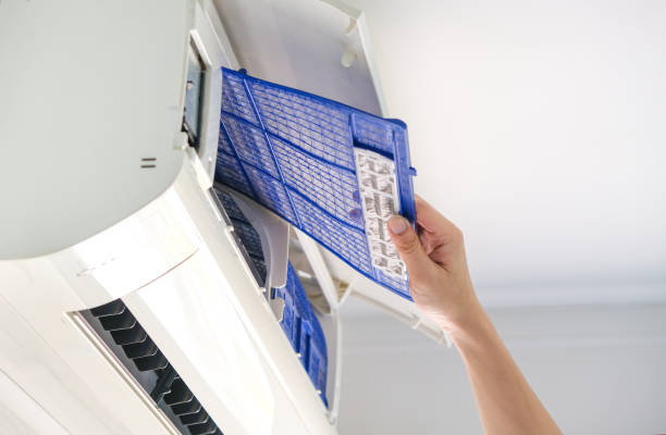 Best Air Vent Cleaning Services  in Centerville, MN