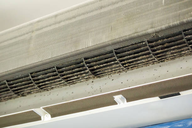 Best Home Air Vent Cleaning  in Centerville, MN