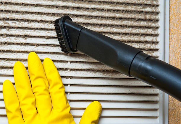 Best HVAC Duct Inspection Services  in Centerville, MN